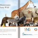 SMI - Ad PRSM 2015 Midyear - Magazine Stampede sample