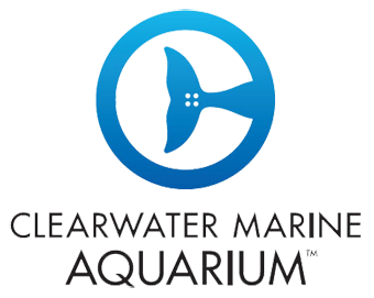 Clearwater Marine Aquarium Logo