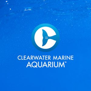 Clearwater-Aquarium