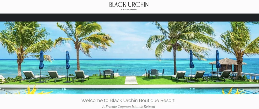 Black Urchin Boutique Resort banner showing a pool with palm trees and loungers by a turquoise sea