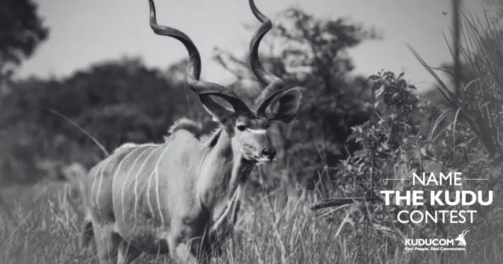 Black and white photo of a kudu antelope with the text Name the Kudu Contest and Kuducom logo
