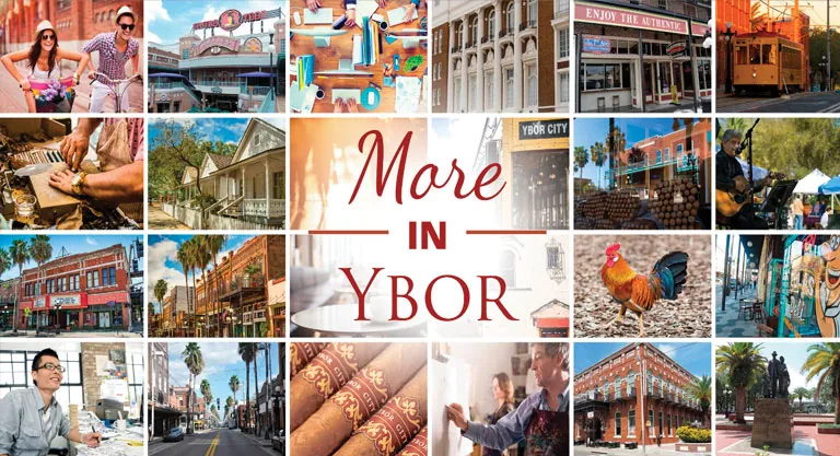 Photo grid titled More in Ybor showing people, streets, architecture, cigars and wildlife of Ybor City