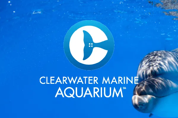 Clearwater Marine Aquarium logo over an underwater photo with a dolphin