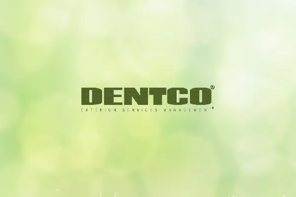 Dentco Exterior Services Management logo on a soft green background