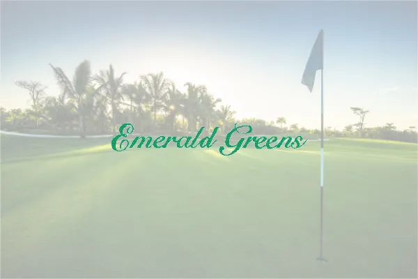 Emerald Greens logo over a golf course with palm trees and flag