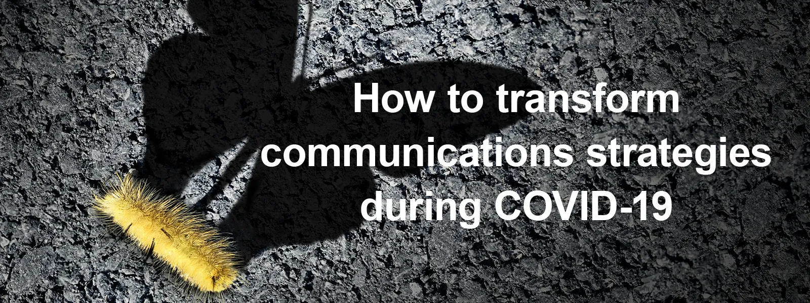 Text over dark pavement reading 'How to transform communications strategies during COVID-19'