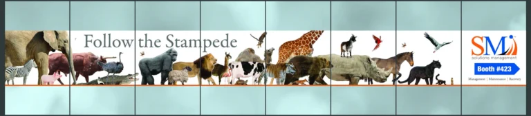 SMI window graphic sample with Follow the Stampede and animals