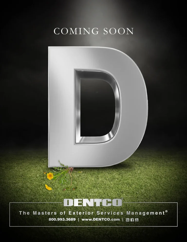 Dentco Coming Soon ad with a large silver letter D on grass