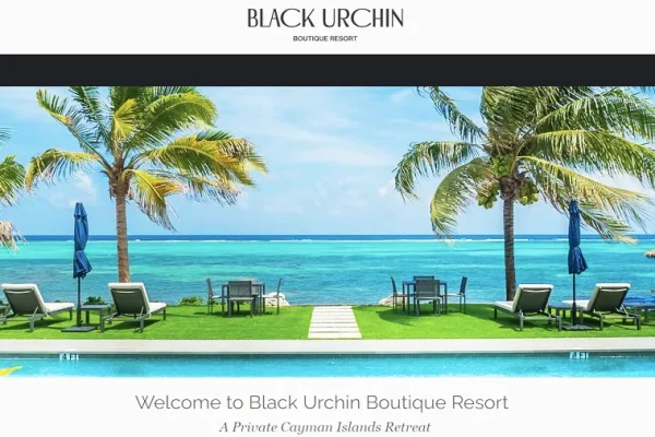 Black Urchin Boutique Resort banner showing a pool with palm trees and loungers by a turquoise sea