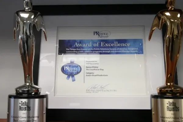 Framed award certificate displayed between silver winged award statuettes