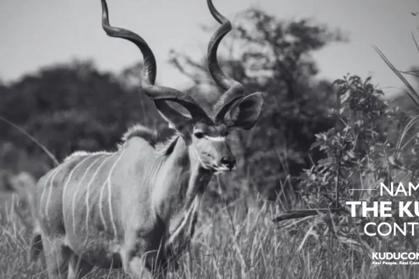Black and white photo of a kudu antelope with the text Name the Kudu Contest and Kuducom logo
