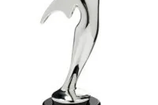 Silver Telly Award statuette on a black base
